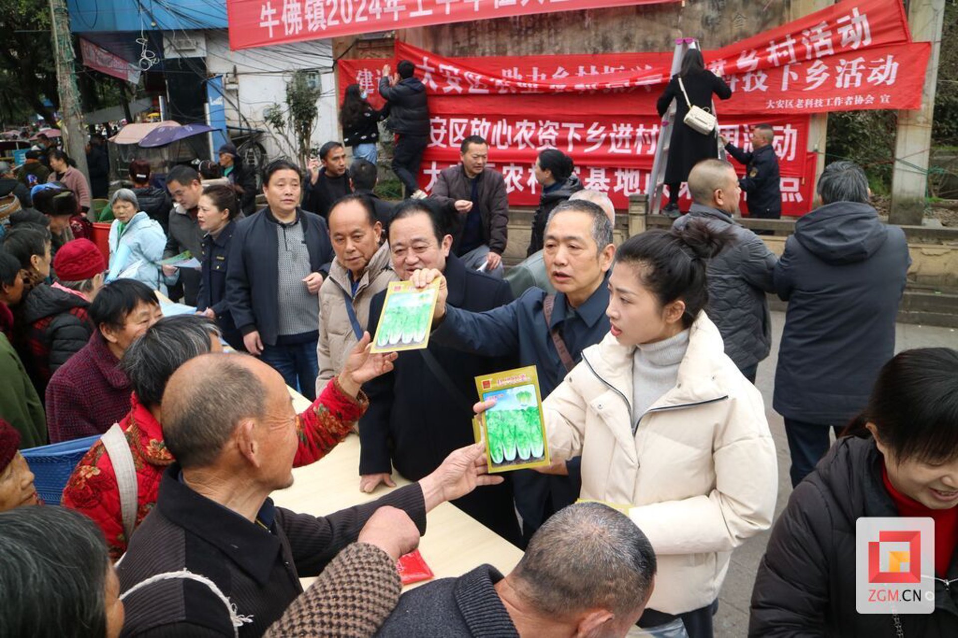 何庆红农资